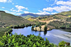 Porto: Private Tour Douro Valley/Winery SECXVIII /Boat/Lunch