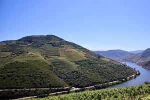 Porto: Private Tour Douro Valley/Winery SECXVIII /Boat/Lunch