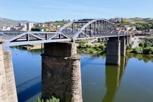 Porto: Private Tour Douro Valley/Winery SECXVIII /Boat/Lunch