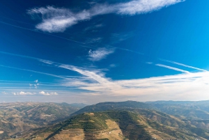 Porto: Private Tour Douro Valley/Winery SECXVIII /Boat/Lunch