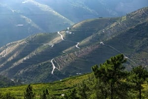 Porto: Private Tour Douro Valley/Winery SECXVIII /Boat/Lunch