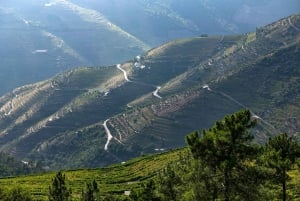 Porto: Private Tour Douro Valley/Winery SECXVIII /Boat/Lunch