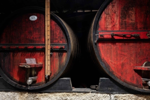 Porto: Private Tour Douro Valley/Winery SECXVIII /Boat/Lunch