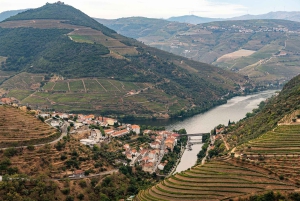 Porto: Private Tour Douro Valley/Winery SECXVIII /Boat/Lunch