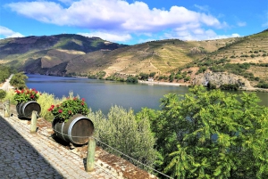 Porto: Private Tour Douro Valley/Winery SECXVIII /Boat/Lunch
