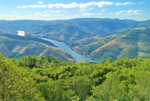Porto: Private Tour Douro Valley/Winery SECXVIII /Boat/Lunch