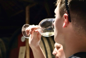 Porto: Private Tour Douro Valley/Winery SECXVIII /Boat/Lunch