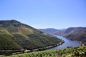 Porto: Private Tour Douro Valley/Winery SECXVIII /Boat/Lunch
