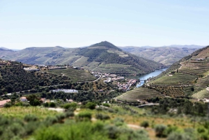Porto: Private Tour Douro Valley/Winery SECXVIII /Boat/Lunch