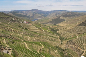 Porto: Private Tour Douro Valley/Winery SECXVIII /Boat/Lunch