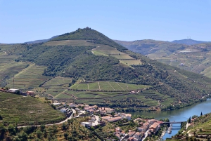 Porto: Private Tour Douro Valley/Winery SECXVIII /Boat/Lunch