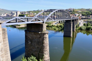 Porto: Private Tour Douro Valley/Winery SECXVIII /Boat/Lunch