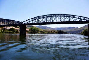 Porto: Private Tour Douro Valley/Winery SECXVIII /Boat/Lunch