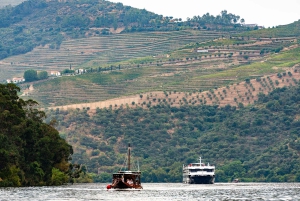 Porto: Private Tour Douro Valley/Winery SECXVIII /Boat/Lunch