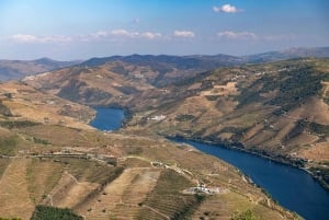 Porto: Private Tour Douro Valley/Winery SECXVIII /Boat/Lunch