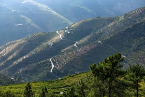 Porto: Private Tour Douro Valley/Winery SECXVIII /Boat/Lunch