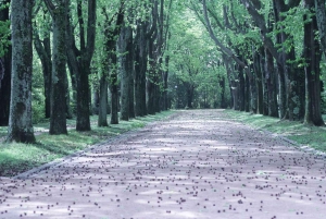 Porto: private Tour mit Geschichte, Aussichten und Kultur