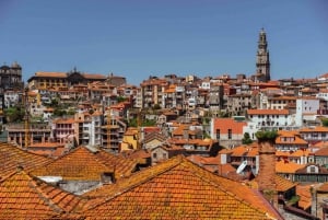 Porto: Private Tour with Locals – Highlights & Hidden Gems