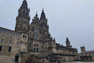 Porto: Privat transfer fra/til Santiago Compostela