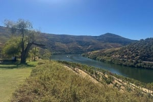 Porto: Yksityinen kuljetus Douro-laaksoon, enintään 4 pysähdystä