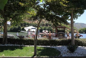 Porto: Private Transfer to Douro Valley up to 4 Stops