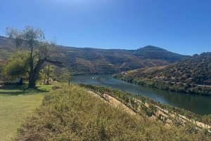 Porto: Private Transfer to Douro Valley up to 4 Stops
