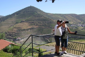 Porto: Private Transfer to Douro Valley up to 4 Stops