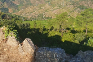 Porto: private transfer to/from Santiago de Compostela