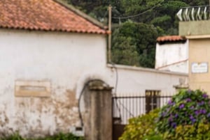 Von Porto: Privater Transfer nach Lissabon bis zu 3 Haltestellen