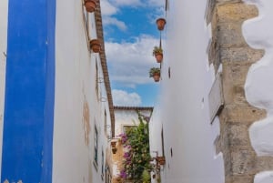 Von Porto: Privater Transfer nach Lissabon bis zu 3 Haltestellen