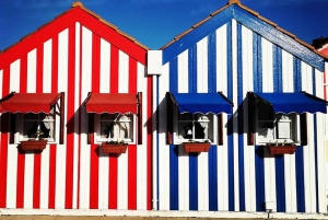 Fra Porto: Privat transfer til Lissabon med op til 4 bystop