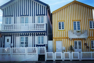 Fra Porto: Privat transfer til Lissabon med op til 4 bystop