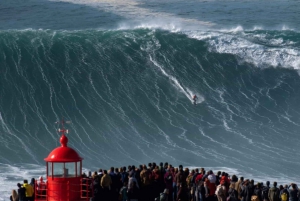 Fra Porto: Privat transfer til Lissabon med op til 4 bystop