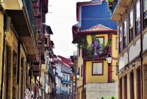 BRAGA E GUIMARÃES: Historisk privat tur fra Porto