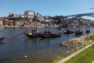 Privat byvandring i Porto med hurtig adgang til Lello