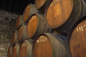 Porto Private Wandertour