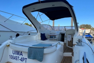 ポルト：ワインとスナック付きプライベートヨットツアー＆6つの橋