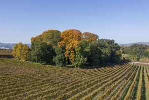 Порту: Кта-да-Авеледа Зачарованные сады и зеленое вино