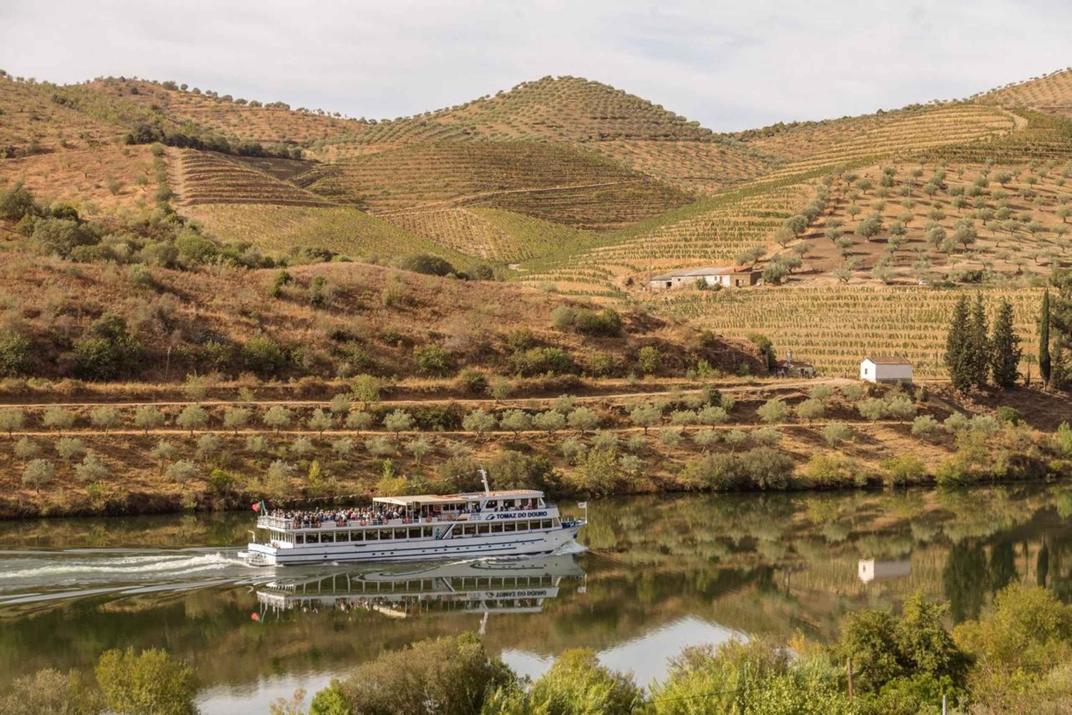 Porto/Regua/Porto (et inversement) : Croisière sur le Douro + déjeuner