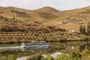 Porto/Regua/Porto (og omvendt): Cruise på elven Douro + lunsj