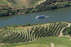 Porto/Regua/Porto (og omvendt): Cruise på elven Douro + lunsj