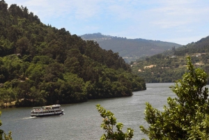 Porto/Régua/Porto - Downstream