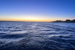 Porto: Afslappende sejltur med havn på Douro-floden