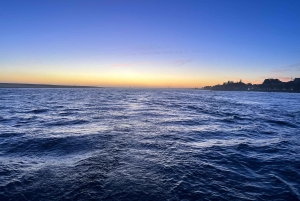 Porto: Relaxing Sailboat Cruise with Port on the Douro River