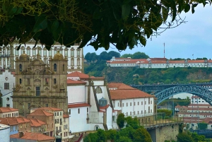 Porto Revealed: The Must-Do Walking Tour