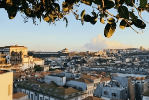 Porto Ribeira ja kohokohdat Yksityinen kävelykierros