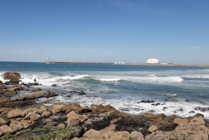 Porto Riverbank Tour på en elcykel: Atlantkusten, trädgårdar