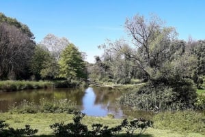 Porto Riverbank Tour på en elcykel: Atlantkusten, trädgårdar
