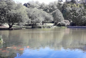 Porto Riverbank Tour på en elcykel: Atlantkusten, trädgårdar