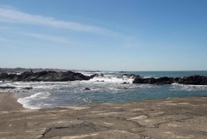 Porto Riverbank Tour på en elcykel: Atlantkusten, trädgårdar